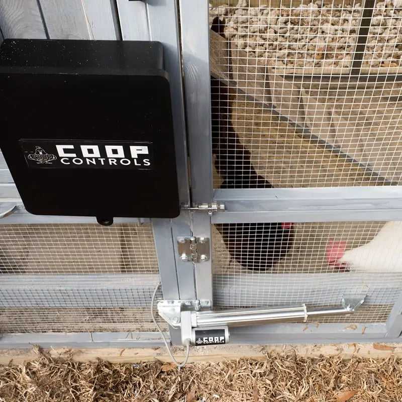 Solar Automatic Coop Controls Coop Door Opener lifestyle on coop door birds eye view of coop opener